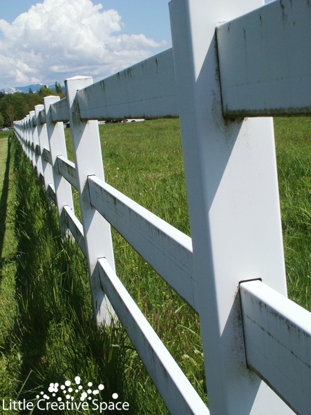 White Fence