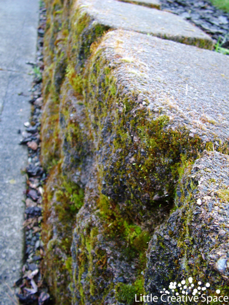 Mossy Stone Wall