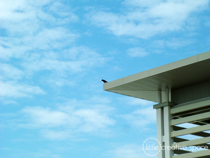 Bird on a ledge