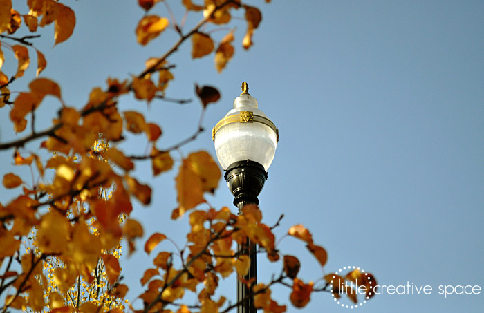 Fall Lamp Post